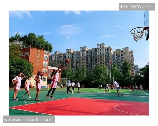 杭州排球队的拼搏之路与荣耀时刻全景回顾 杭州排球队的拼搏之路与荣耀时刻全景回顾