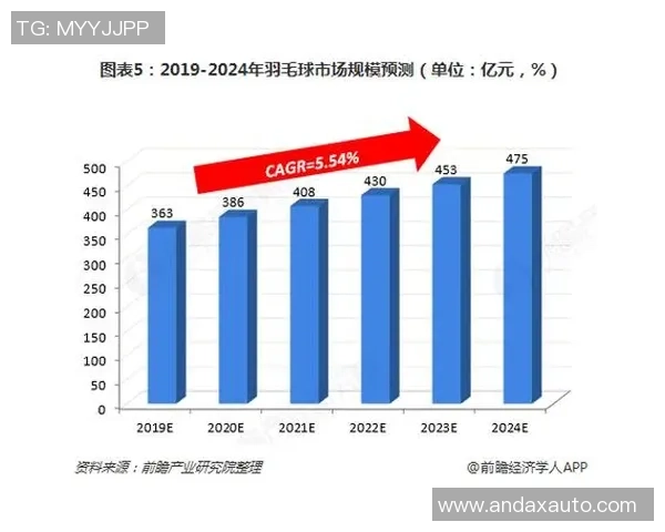 杭州羽毛球队个人能力分析与发展策略探讨